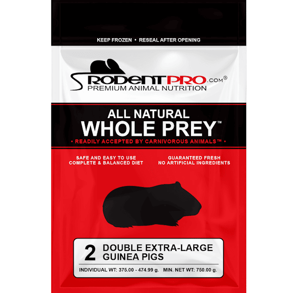 Frozen Double Extra-Large Rats 2ct for Sale: Shop RodentPro
